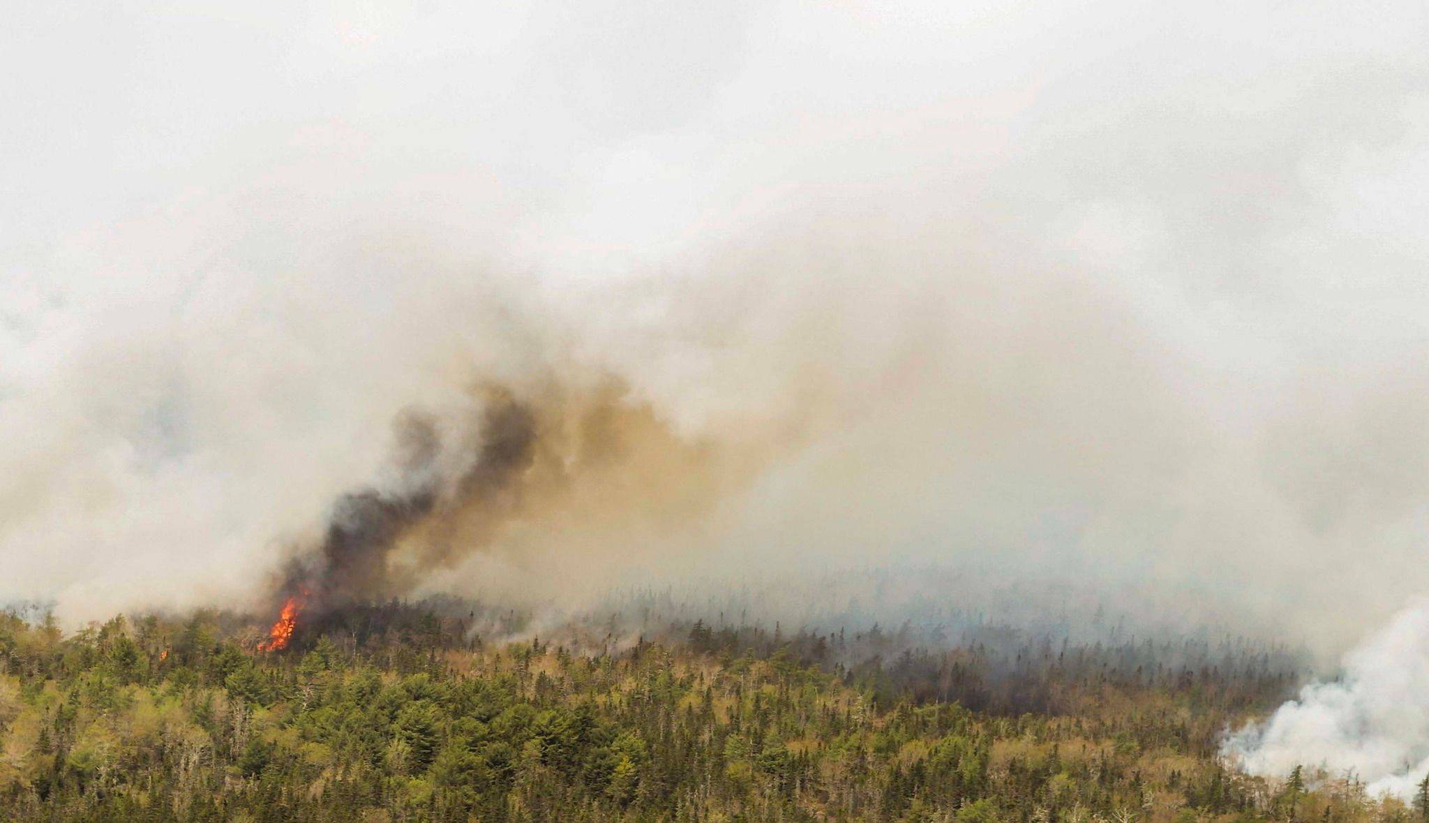 The Barrington Lake wildfire in Nova Scotia on Wednesday | Nova Scotia Government / via REUTERS