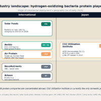 HOB-based protein players by stage and geography, early 2026. Commercial: Solar Foods (FIN). Pilot/scale-up: Aerbio (UK/NL), Air Protein (USA), CO2 Utilization Institute (JPN). Defunct 2025: NovoNutrients (USA), Arkeon (AT). Compiled by SSHD.